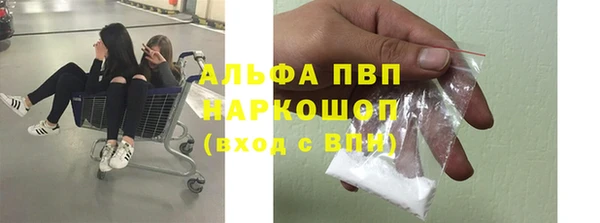 ПСИЛОЦИБИНОВЫЕ ГРИБЫ Белоозёрский