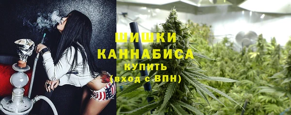 ПСИЛОЦИБИНОВЫЕ ГРИБЫ Белоозёрский