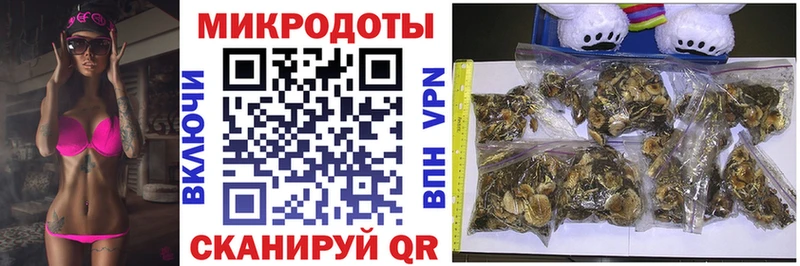 Псилоцибиновые грибы Psilocybine cubensis  Вяземский 